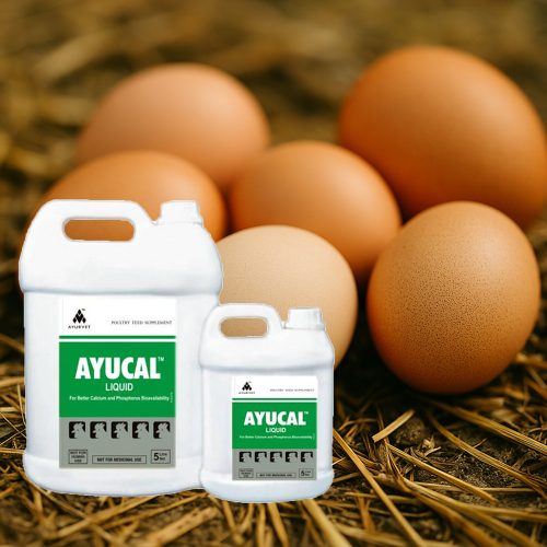 Ayucal itatófolyadék 1 l