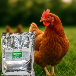 Coccihar belsőleges por 1 kg