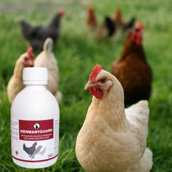 Dermanyguard itatófolyadék 1 liter